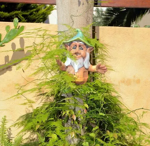 κωνστάντζα στούντιο και *