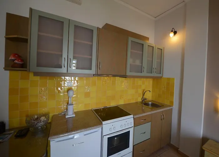 κωνστάντζα στούντιο και *